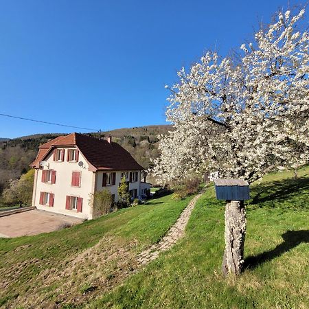 Domaine De La Charriere Sur 63 Ares - 8 Pers Grand Confort Vila Neuviller Exterior foto