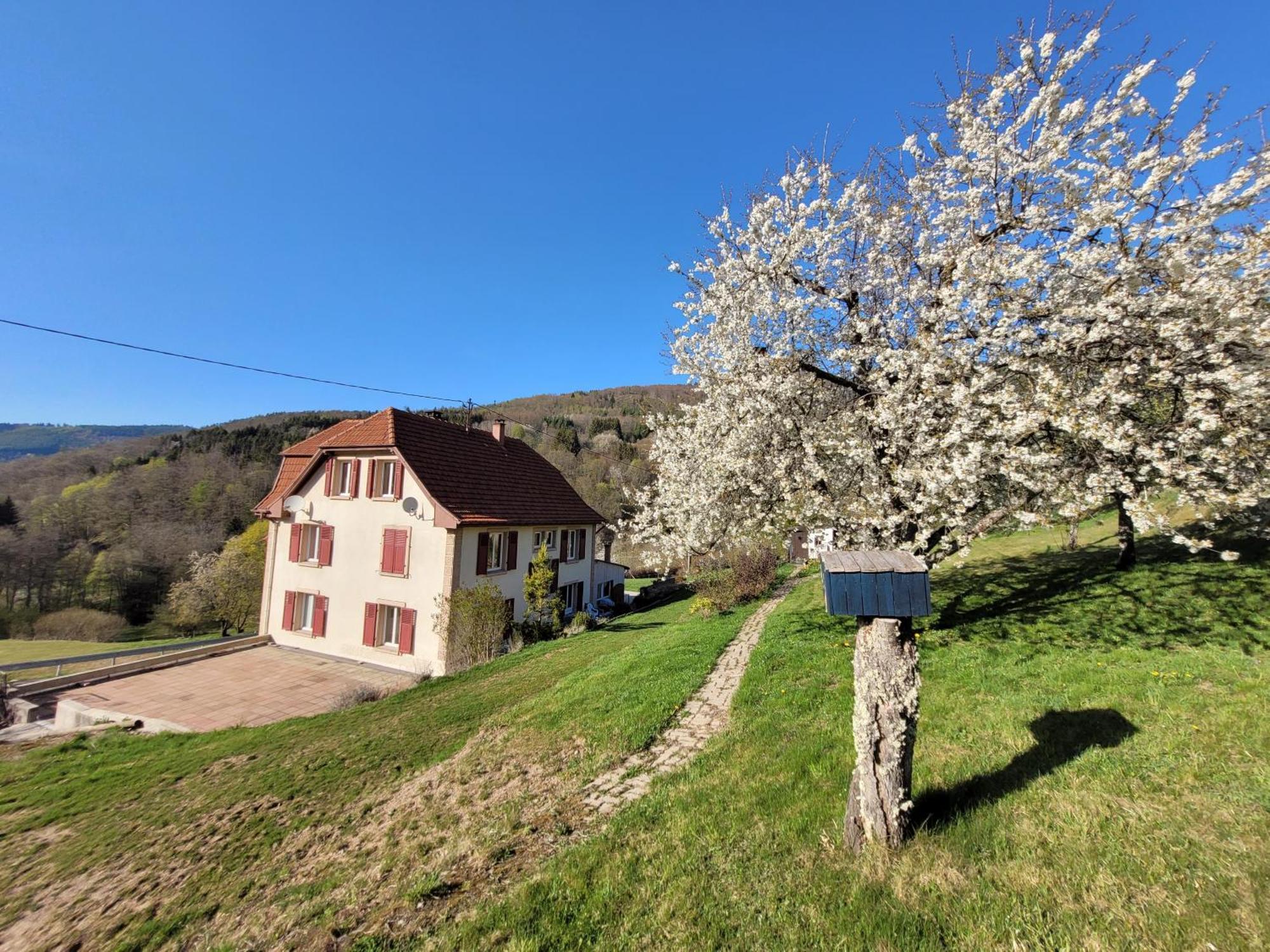 Domaine De La Charriere Sur 63 Ares - 8 Pers Grand Confort Vila Neuviller Exterior foto