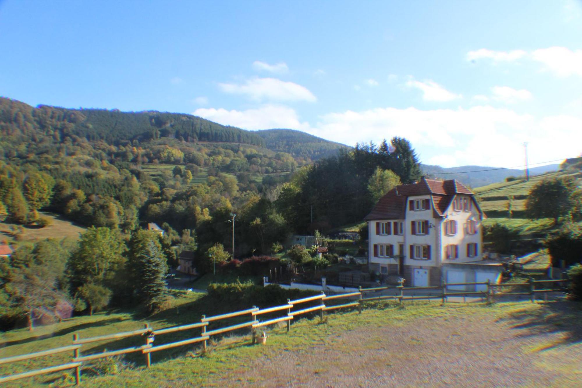 Domaine De La Charriere Sur 63 Ares - 8 Pers Grand Confort Vila Neuviller Exterior foto